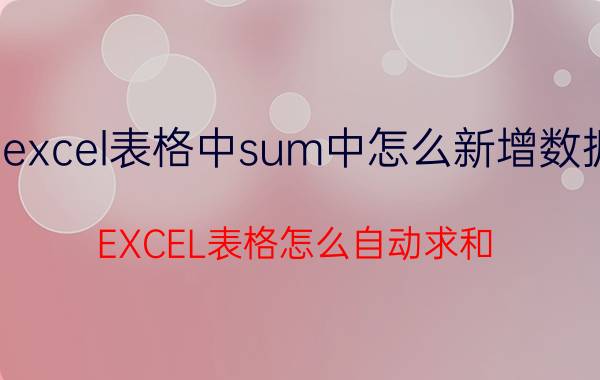 excel表格中sum中怎么新增数据 EXCEL表格怎么自动求和？